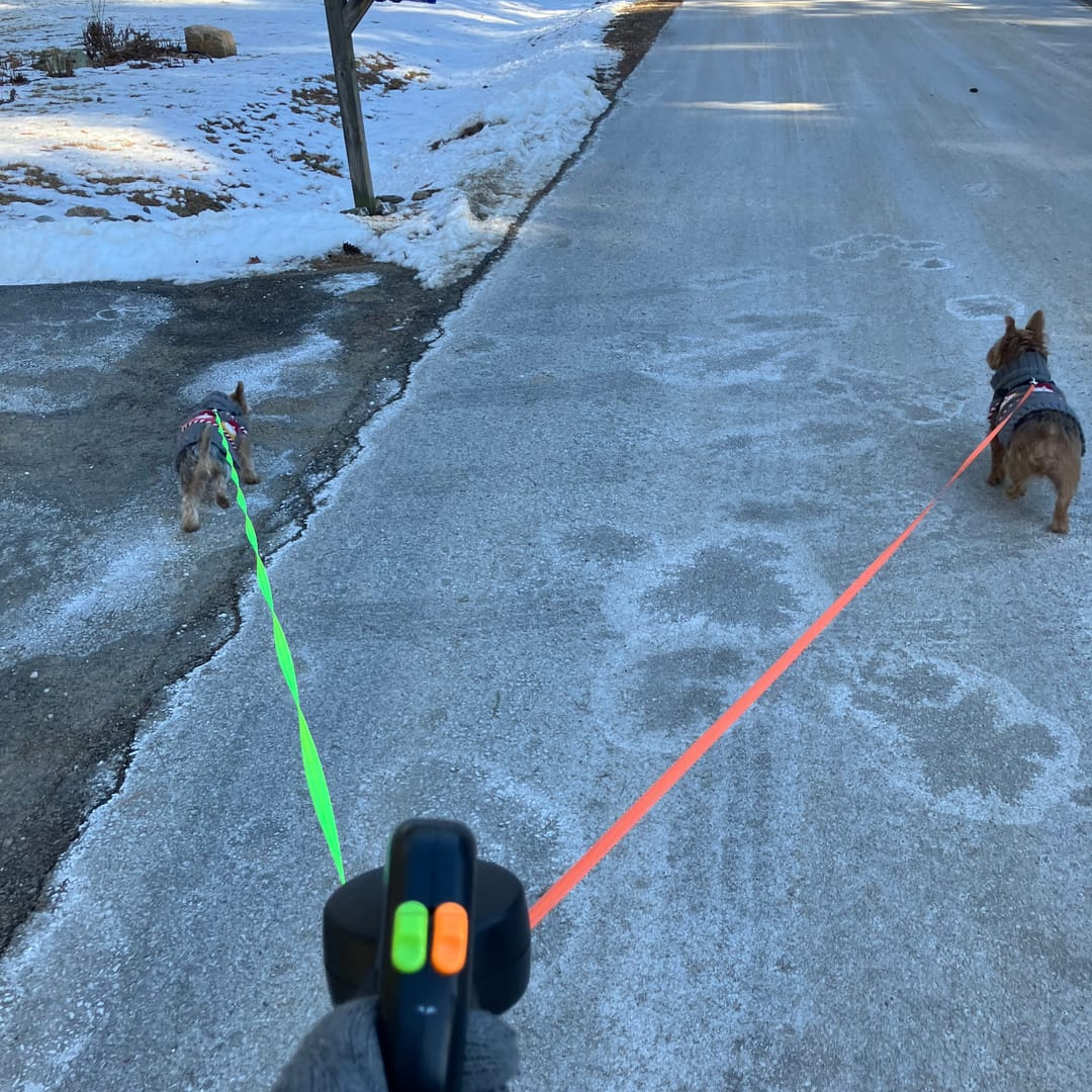 Dual-Tail Leash