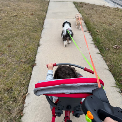 Dual-Tail Leash