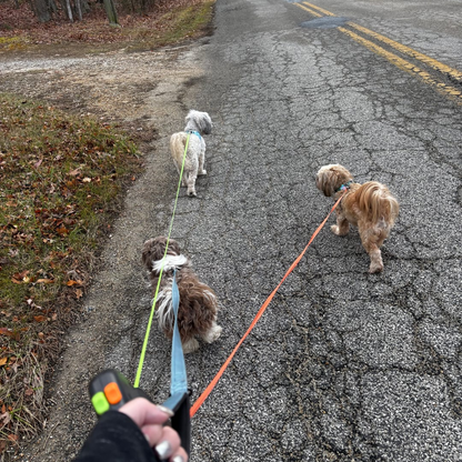 Dual-Tail Leash